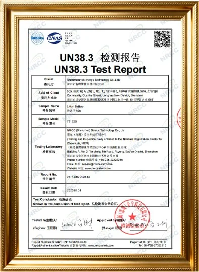 UN38.3 Test Report
